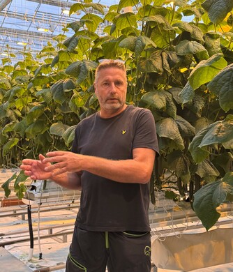 John Helge Lillevold