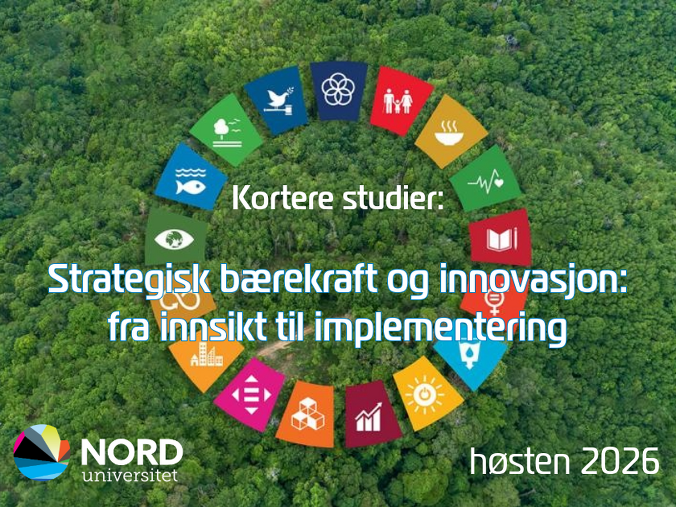 Fra bærekraftsprat til bærekraft i praksis