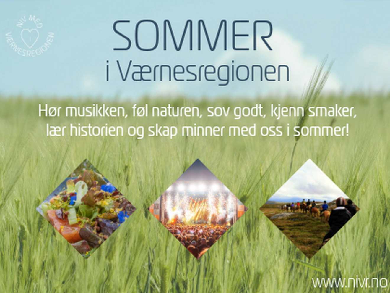 niv