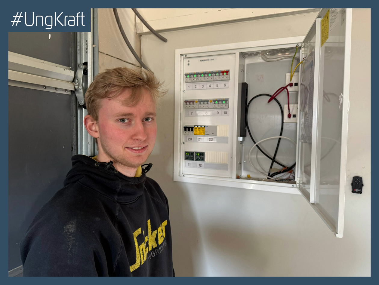 røset elektro 