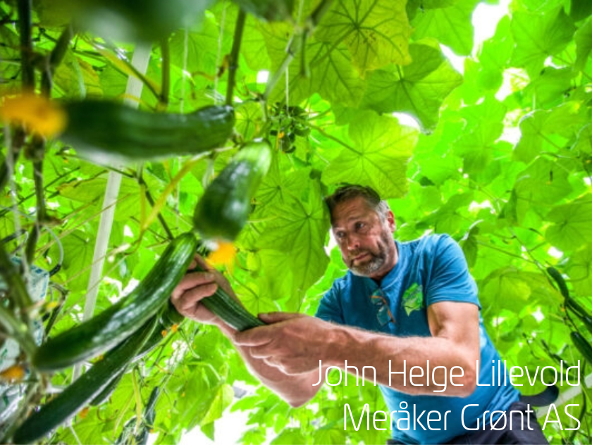 John Helge Lillevold